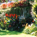 Flea's Garden -  lower garden 
